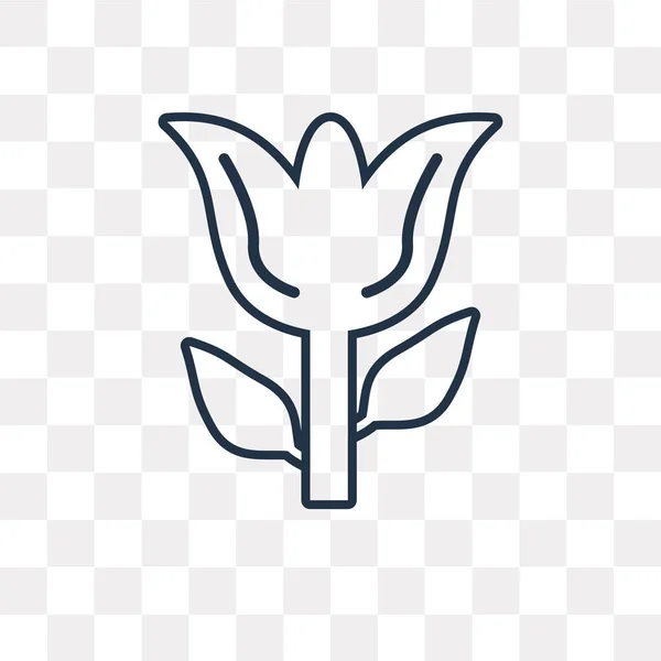 Tulpe Vektor Umriss Symbol Isoliert Auf Transparentem Hintergrund Hohe Qualität — Stockvektor