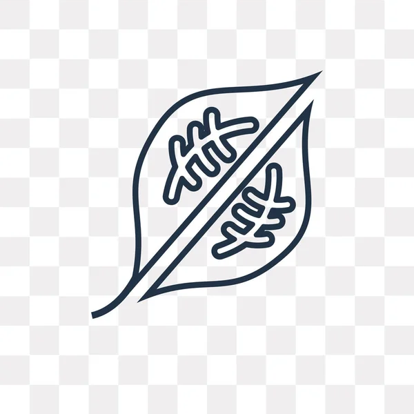 Иконка Вектора Листа Контура Изолированы Прозрачном Фоне Высокое Качество Линейной — стоковый вектор