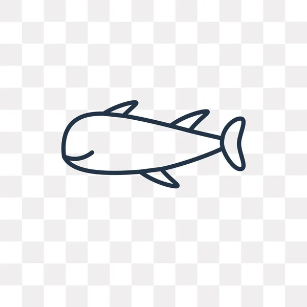 Icône Contour Vectoriel Requin Isolé Sur Fond Transparent Concept Linéaire — Image vectorielle