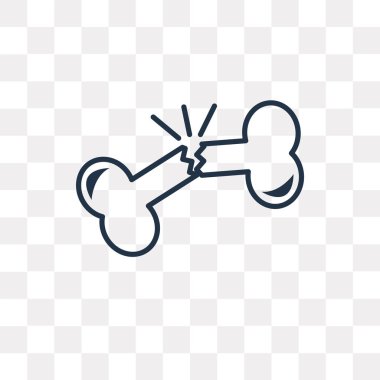 Kemik vektör anahat simgesini şeffaf arka plan üzerinde yüksek kalitede doğrusal kemik saydamlık kavramı izole olabilir kullanılan web ve mobil