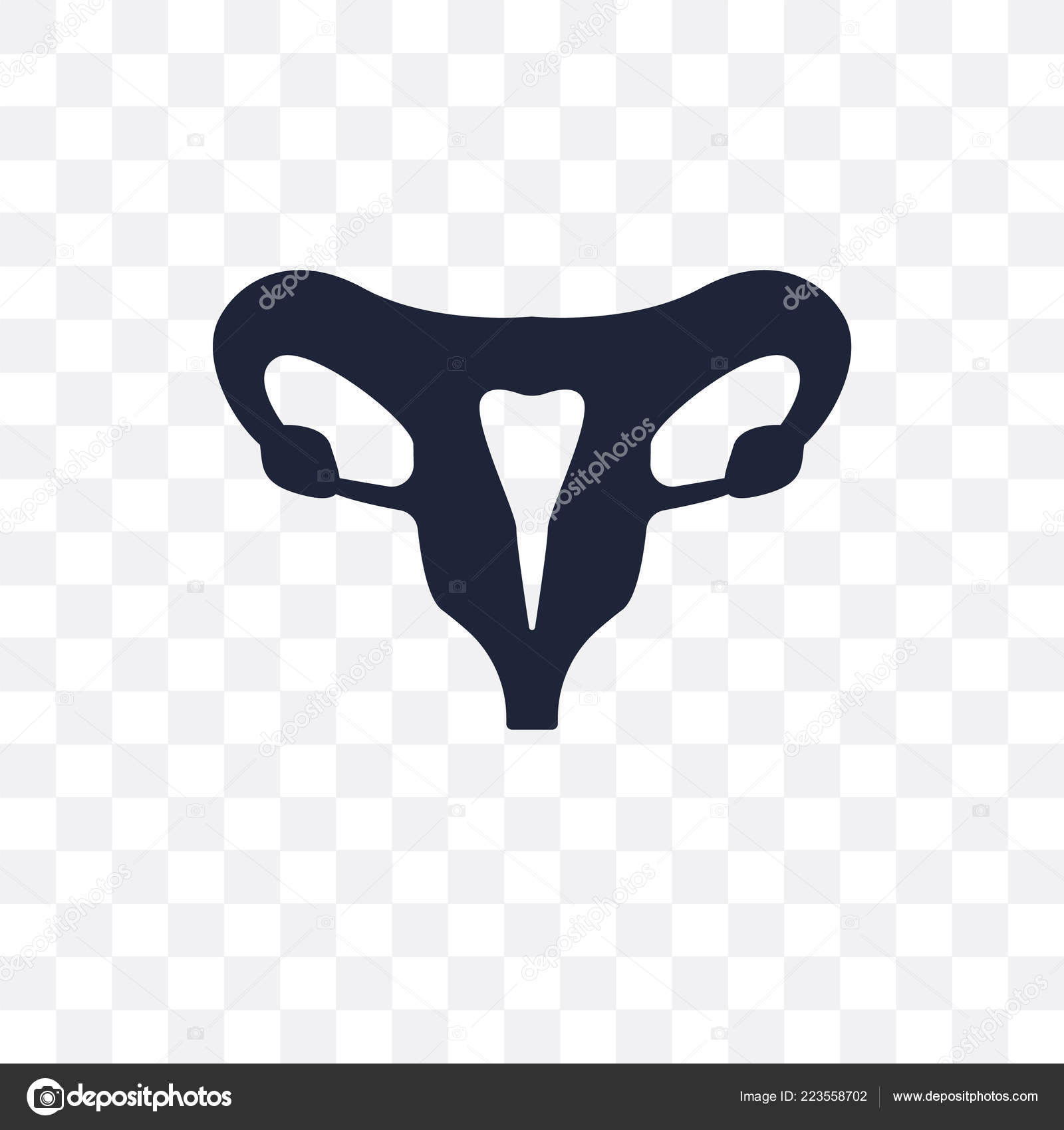 Uterus vector icon isolated on transparent background, Uterus logo design  Stock Vector