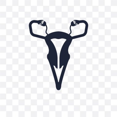 Rahim ve fallop tüpü şeffaf simgesi. Rahim ve fallop tüpü sembolü tasarım insan vücut parçaları Collection.