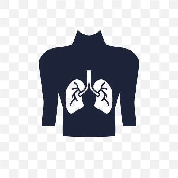 Humano Con Foco Icono Transparente Los Pulmones Humano Con Enfoque — Archivo Imágenes Vectoriales
