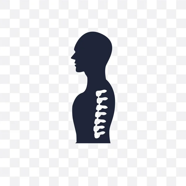 Menselijke Wervelkolom Transparant Pictogram Menselijke Wervelkolom Symbool Ontwerp Uit Menselijke — Stockvector