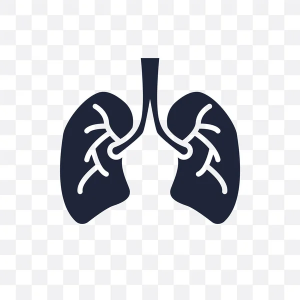 Pulmones Humanos Icono Transparente Diseño Del Símbolo Human Lungs Colección — Archivo Imágenes Vectoriales