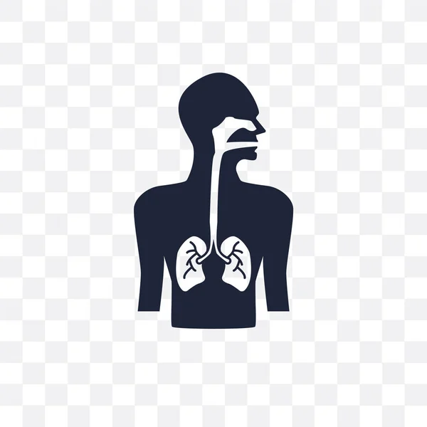 Respiratory System Transparent Icon Respiratory System Symbol Design Human Body — Stock Vector