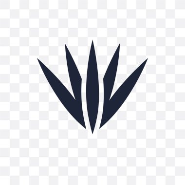 Acicular saydam simge. Acicular simgesi tasarım doğa koleksiyonundan. Basit öğe vektör çizim şeffaf arka plan üzerinde.