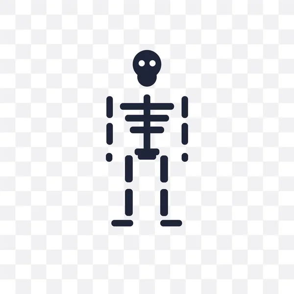 Csontváz Átlátszó Ikon Csontváz Szimbólum Design Múzeum Gyűjteményéből Egyszerű Elem — Stock Vector
