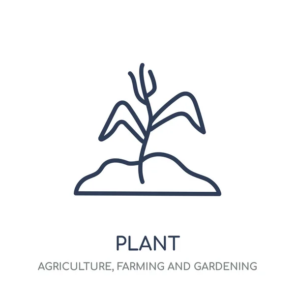 植物图标 植物线性符号设计从农业 农业和园艺收藏 简单的大纲元素向量例证在白色背景 — 图库矢量图片