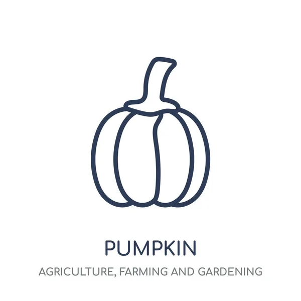 南瓜图标 来自农业 农业和园艺收藏的南瓜线性符号设计 简单的大纲元素向量例证在白色背景 — 图库矢量图片