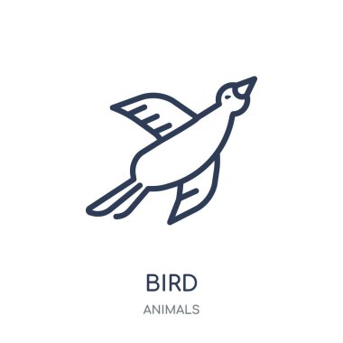 Kuş simgesi. Kuş doğrusal sembolü tasarım hayvanlar koleksiyonundan. Beyaz arka plan üzerinde basit anahat öğesi vektör çizim.