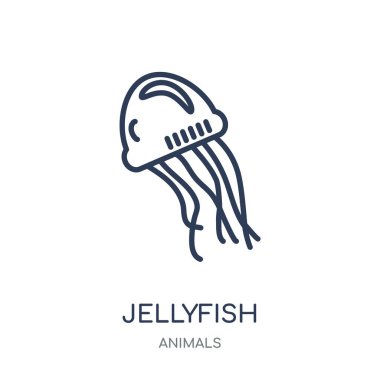 Denizanası simgesi. Denizanası doğrusal sembolü tasarım hayvanlar koleksiyonundan. Beyaz arka plan üzerinde basit anahat öğesi vektör çizim.