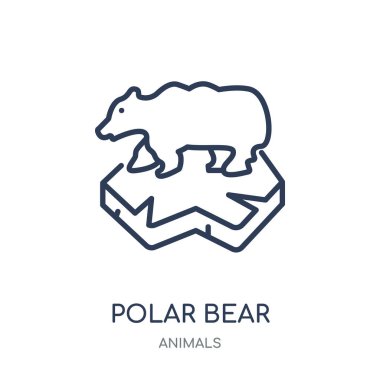 Kutup ayısı simgesi. Kutup ayısı doğrusal sembolü tasarım hayvanlar koleksiyonundan. Beyaz arka plan üzerinde basit anahat öğesi vektör çizim.