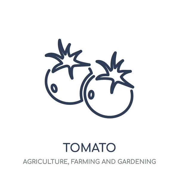 番茄图标 番茄线性符号设计从农业 农业和园艺收藏 简单的大纲元素向量例证在白色背景 — 图库矢量图片