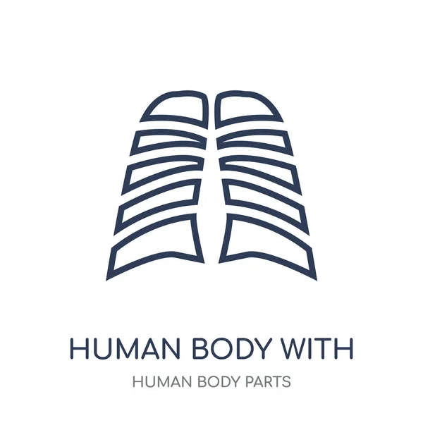 Cuerpo Humano Con Placa Rayos Enfocada Icono Del Estómago Cuerpo — Vector de stock