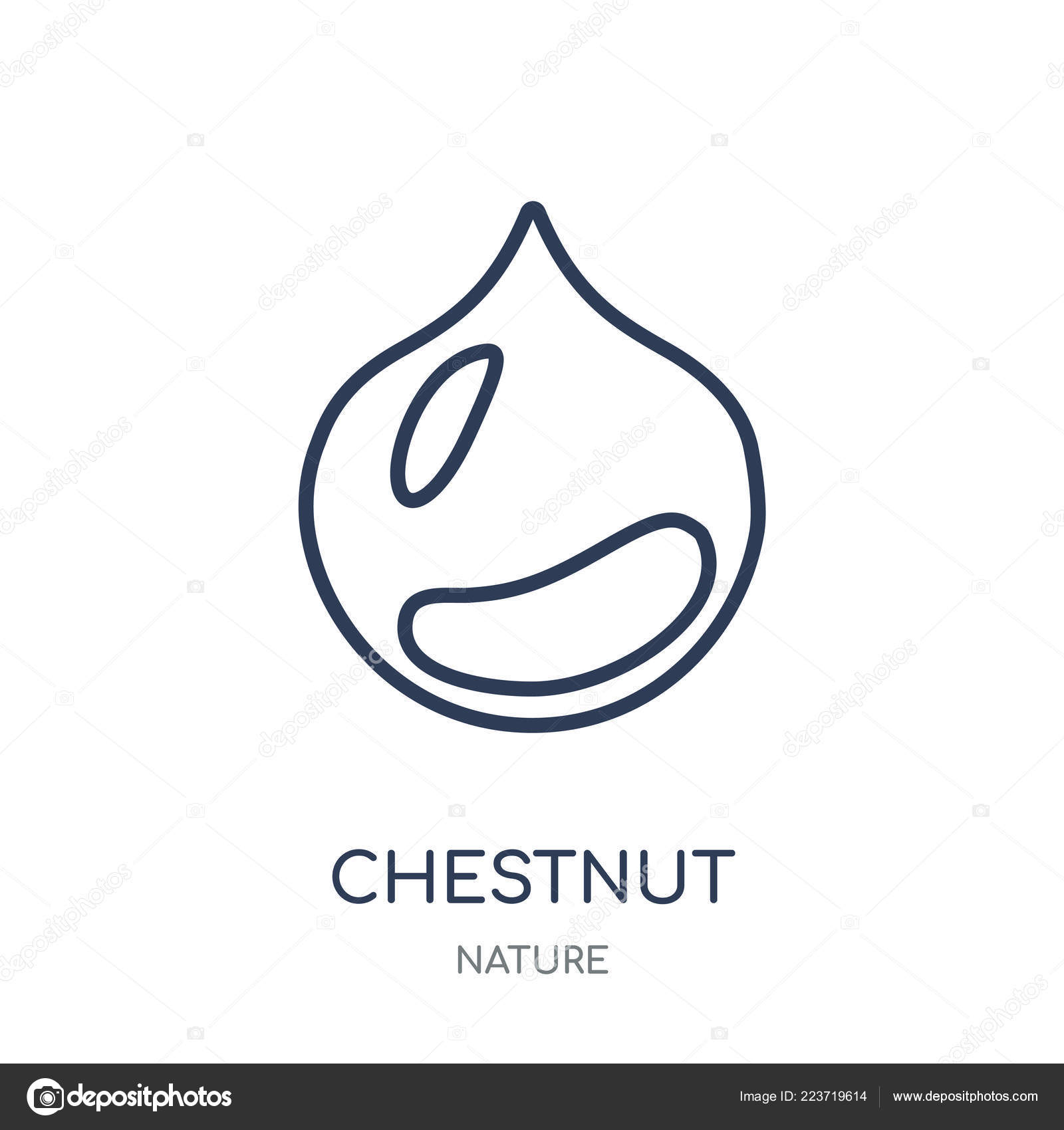 Chestnut Icon Chestnut Linear Symbol Design Nature Collection Simple Outline Vector Image By C Coolvectorstock Vector Stock Chestnut Icon Chestnut Linear Symbol Design Nature Collection Simple Outline Vector Image By C Coolvectorstock Vector Stock