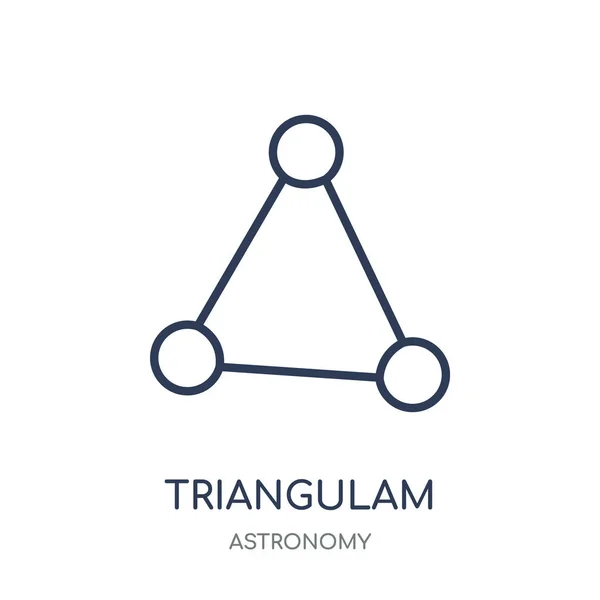 Icono Triangulam Australe Diseño Símbolo Lineal Triangulam Australe Colección Astronomy — Vector de stock