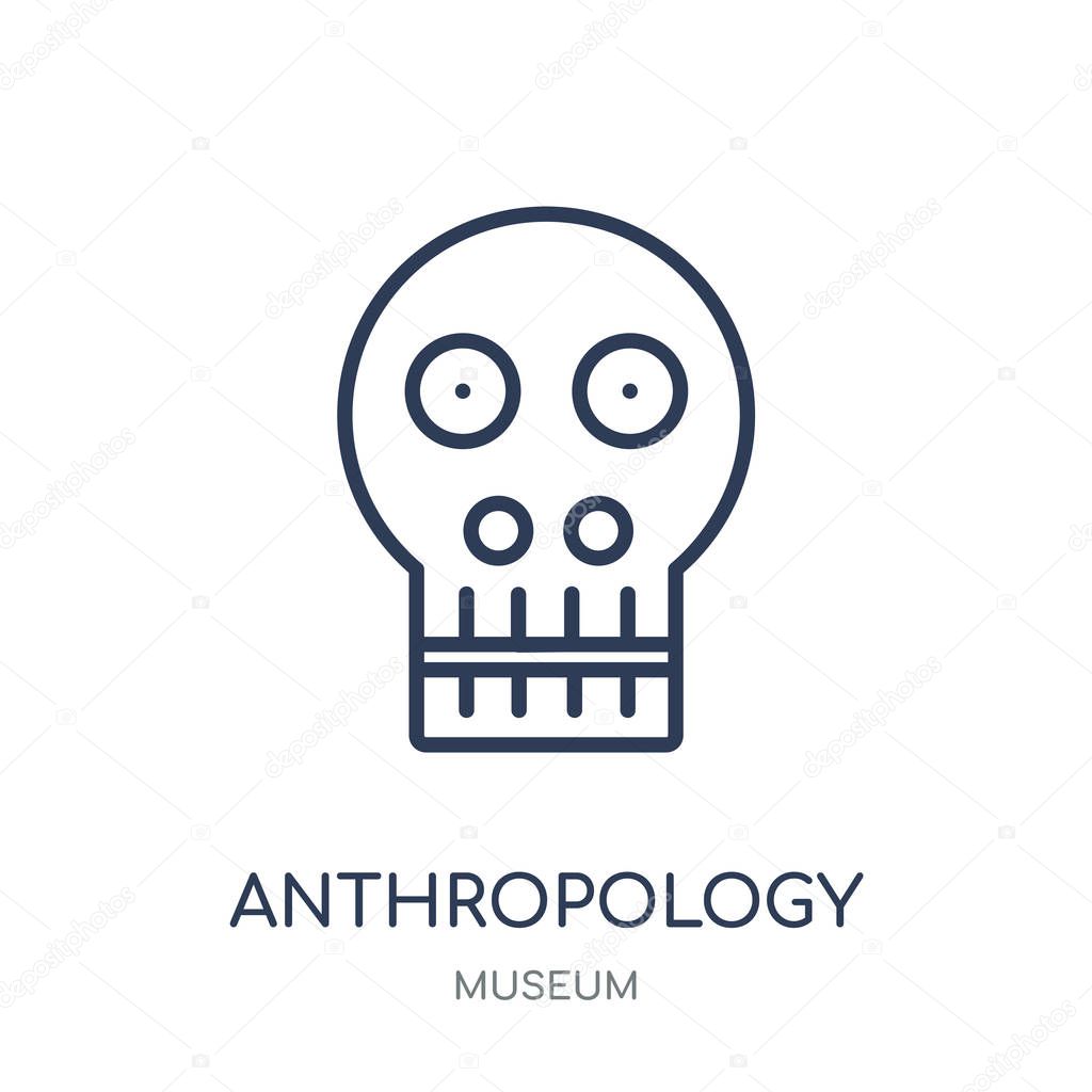 Anthropology icon. Anthropology linear symbol design from Museum collection. Simple outline element vector illustration on white background.
