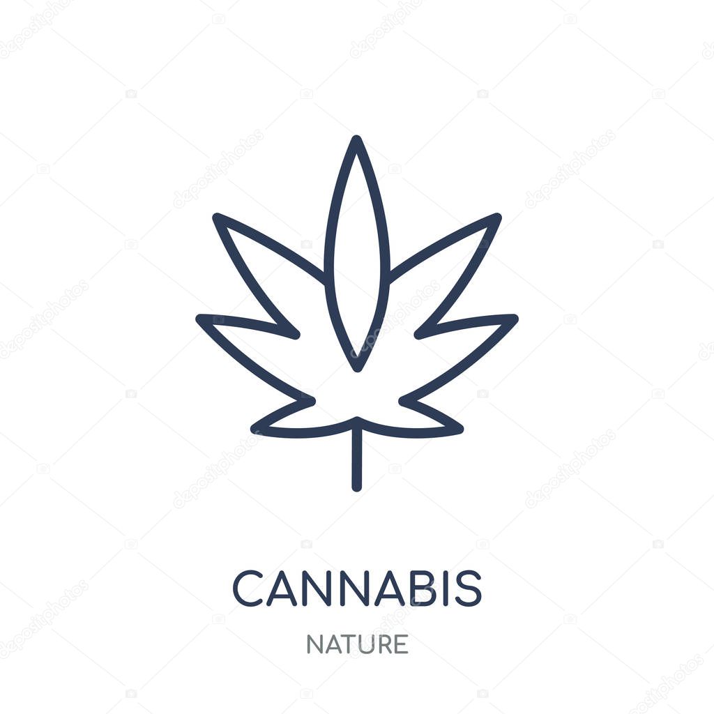 Cannabis icon. Cannabis linear symbol design from Nature collection. Simple outline element vector illustration on white background.