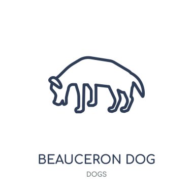 Beauceron köpek simgesi. Beauceron köpek doğrusal sembolü tasarım köpekler koleksiyonundan. Beyaz arka plan üzerinde basit anahat öğesi vektör çizim.