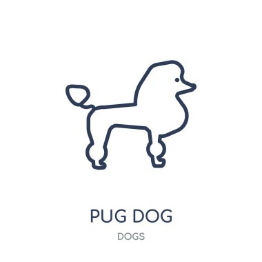 Pug köpek simgesi. Köpek doğrusal sembolü tasarım köpekler koleksiyonundan pug. Beyaz arka plan üzerinde basit anahat öğesi vektör çizim.