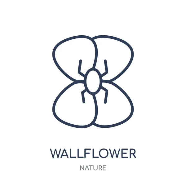 Wallflower Pictogram Wallflower Lineaire Symbool Ontwerp Uit Natuur Collectie Eenvoudig — Stockvector