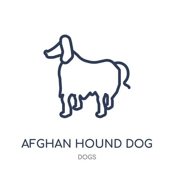 Afghánský Chrt Pes Ikona Afghánský Chrt Pes Lineární Symbol Designu — Stockový vektor