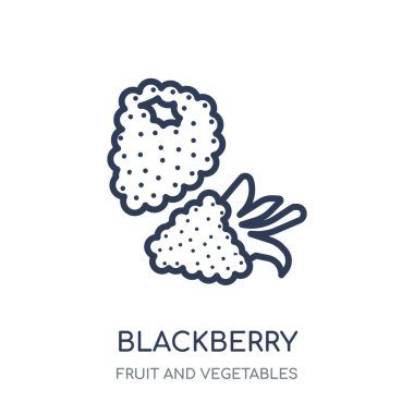 BlackBerry simge. Böğürtlen doğrusal sembolü tasarım meyve ve sebze koleksiyonundan. Beyaz arka plan üzerinde basit anahat öğesi vektör çizim.