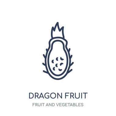 Dragon meyve simgesi. Dragon meyve doğrusal sembolü tasarım meyve ve sebze koleksiyonundan. Beyaz arka plan üzerinde basit anahat öğesi vektör çizim.