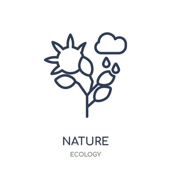 Icono Naturaleza Diseño Símbolo Lineal Naturaleza Colección Ecology Esquema Simple — Vector de stock