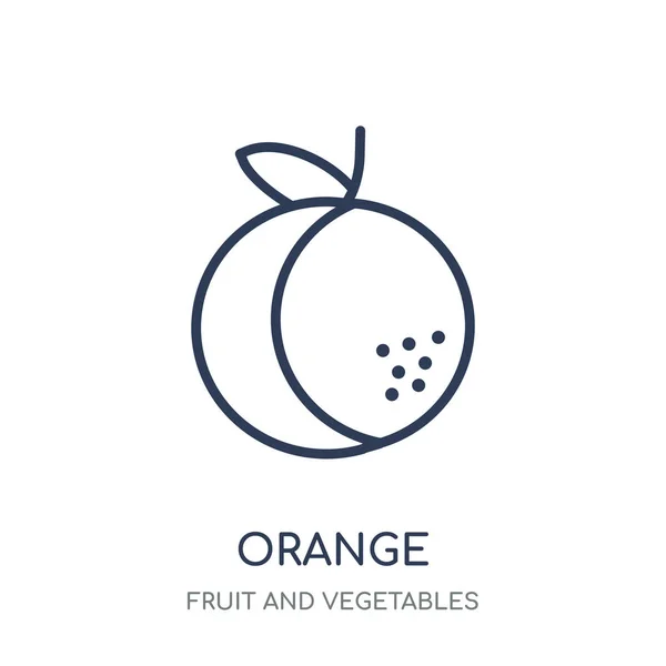 Icono Naranja Diseño Símbolo Lineal Naranja Colección Frutas Verduras Esquema — Vector de stock