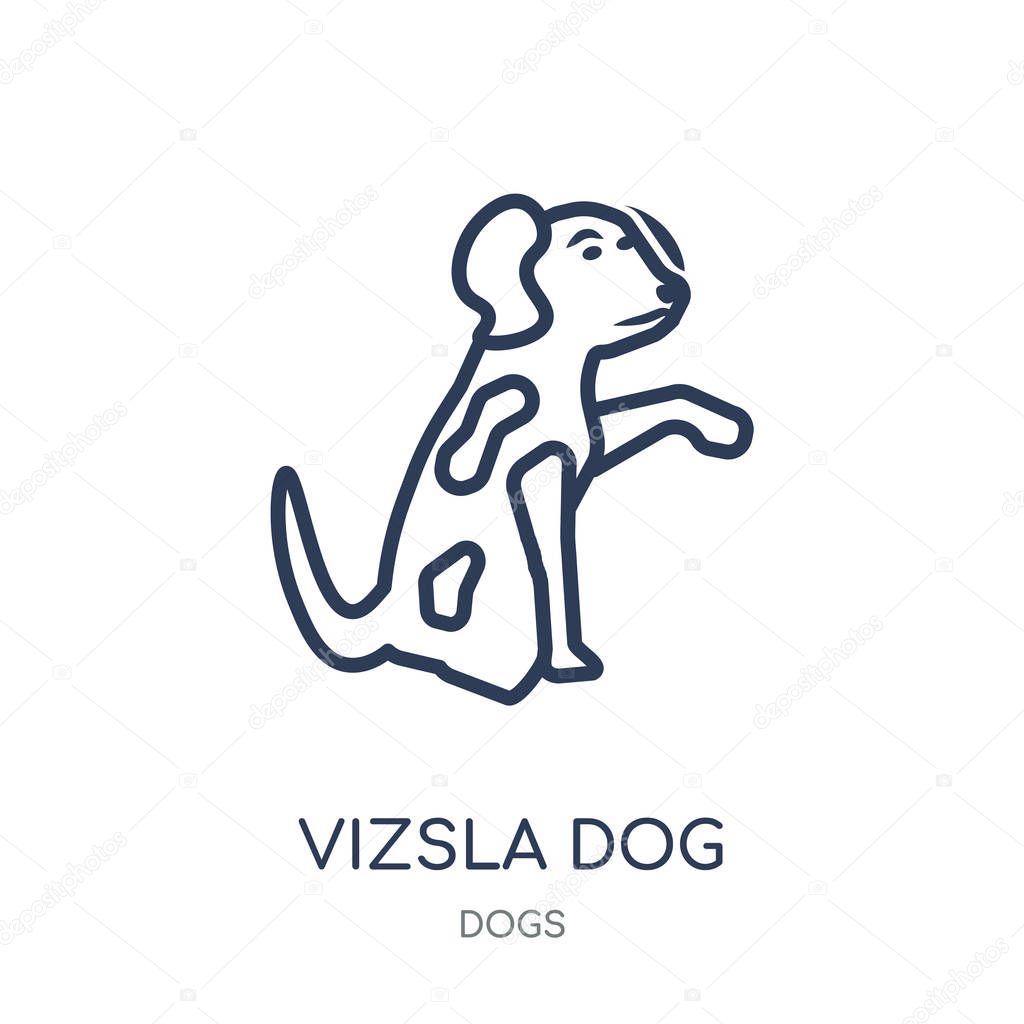 Vizsla dog icon. Vizsla dog linear symbol design from Dogs collection. Simple outline element vector illustration on white background.