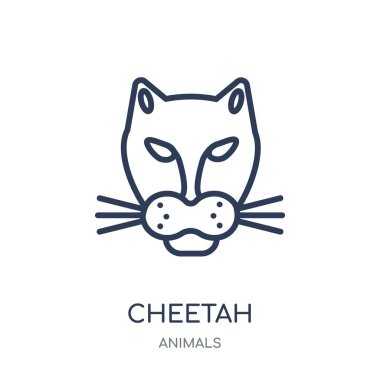 Cheetah simgesi. Cheetah doğrusal sembolü tasarım hayvanlar koleksiyonundan. Beyaz arka plan üzerinde basit anahat öğesi vektör çizim.