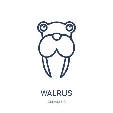 Mors simgesi. Mors doğrusal sembolü tasarım hayvanlar koleksiyonundan. Beyaz arka plan üzerinde basit anahat öğesi vektör çizim.