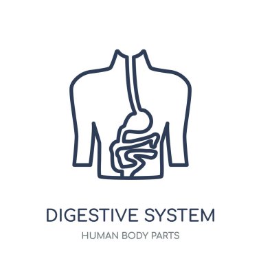 Sindirim sistem kutsal kişilerin resmi. Sindirim sistemi doğrusal sembolü tasarım insan vücut parçaları Collection.