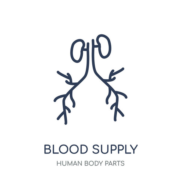 Значок системы кровоснабжения. Линейный символ системы кровоснабжения из коллекции частей человеческого тела
.