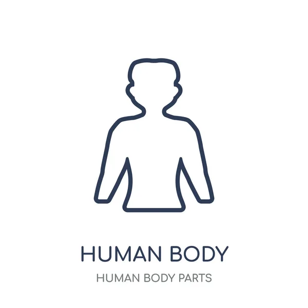 Human body standing black icon. Human body standing black linear symbol design from Human Body Parts collection.