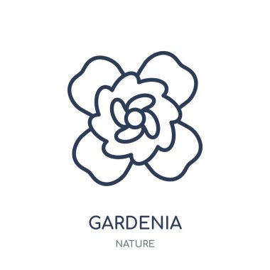Gardenya simgesi. Gardenya doğrusal sembolü tasarım doğa koleksiyonundan. Beyaz arka plan üzerinde basit anahat öğesi vektör çizim.