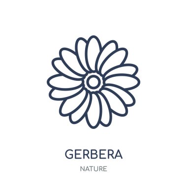 Gerbera simgesi. Gerbera doğrusal sembolü tasarım doğa koleksiyonundan. Beyaz arka plan üzerinde basit anahat öğesi vektör çizim.