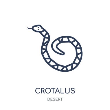 Crotalus simgesi. Crotalus doğrusal sembolü tasarım çöl koleksiyonundan. Beyaz arka plan üzerinde basit anahat öğesi vektör çizim.