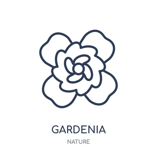 Gardenia icon. Gardenia linear symbol design from Nature collection. Simple outline element vector illustration on white background.