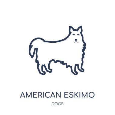 Amerikan Eskimo köpek köpek simgesi. Amerikan Eskimo köpek köpek doğrusal sembolü tasarım köpekler koleksiyonundan. Beyaz arka plan üzerinde basit anahat öğesi vektör çizim.
