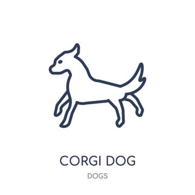 Corgi köpek simgesi. Corgi köpek doğrusal sembolü tasarım köpekler koleksiyonundan. Beyaz arka plan üzerinde basit anahat öğesi vektör çizim.