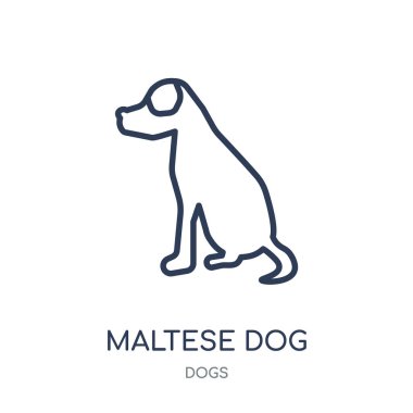 Malta köpek simgesi. Malta köpek doğrusal sembolü tasarım köpekler koleksiyonundan. Beyaz arka plan üzerinde basit anahat öğesi vektör çizim.
