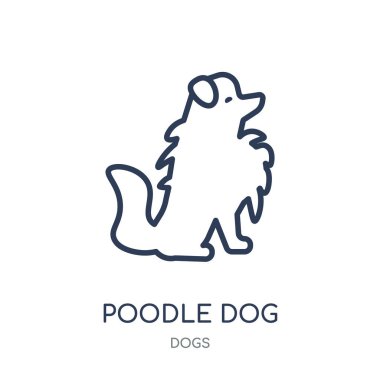 Kaniş köpek simgesi. Kaniş köpek doğrusal sembolü tasarım köpekler koleksiyonundan. Beyaz arka plan üzerinde basit anahat öğesi vektör çizim.