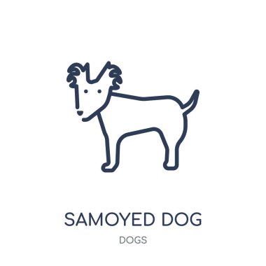 Samoyed köpek simgesi. Samoyed köpek doğrusal sembolü tasarım köpekler koleksiyonundan. Beyaz arka plan üzerinde basit anahat öğesi vektör çizim.