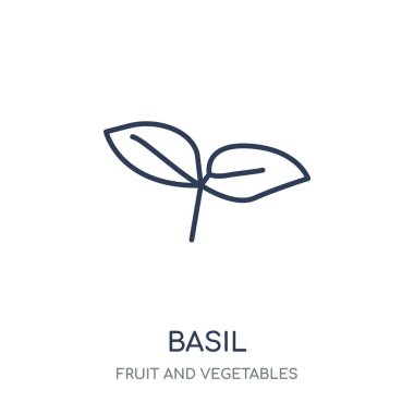 Fesleğen simgesi. Fesleğen doğrusal sembolü tasarım meyve ve sebze koleksiyonundan. Beyaz arka plan üzerinde basit anahat öğesi vektör çizim.