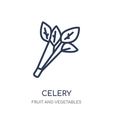 Kereviz simgesi. Kereviz doğrusal sembolü tasarım meyve ve sebze koleksiyonundan. Beyaz arka plan üzerinde basit anahat öğesi vektör çizim.