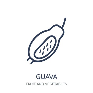 Guava simgesi. Meyve ve sebze koleksiyonundan guava doğrusal sembolü tasarım. Beyaz arka plan üzerinde basit anahat öğesi vektör çizim.