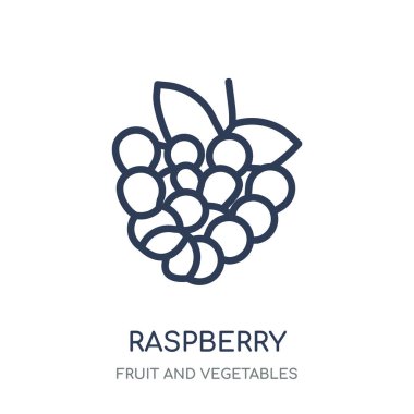 Ahududu simgesi. Ahududu doğrusal sembolü tasarım meyve ve sebze koleksiyonundan. Beyaz arka plan üzerinde basit anahat öğesi vektör çizim.